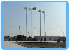 <�мβ����2