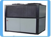 �ȵ���������